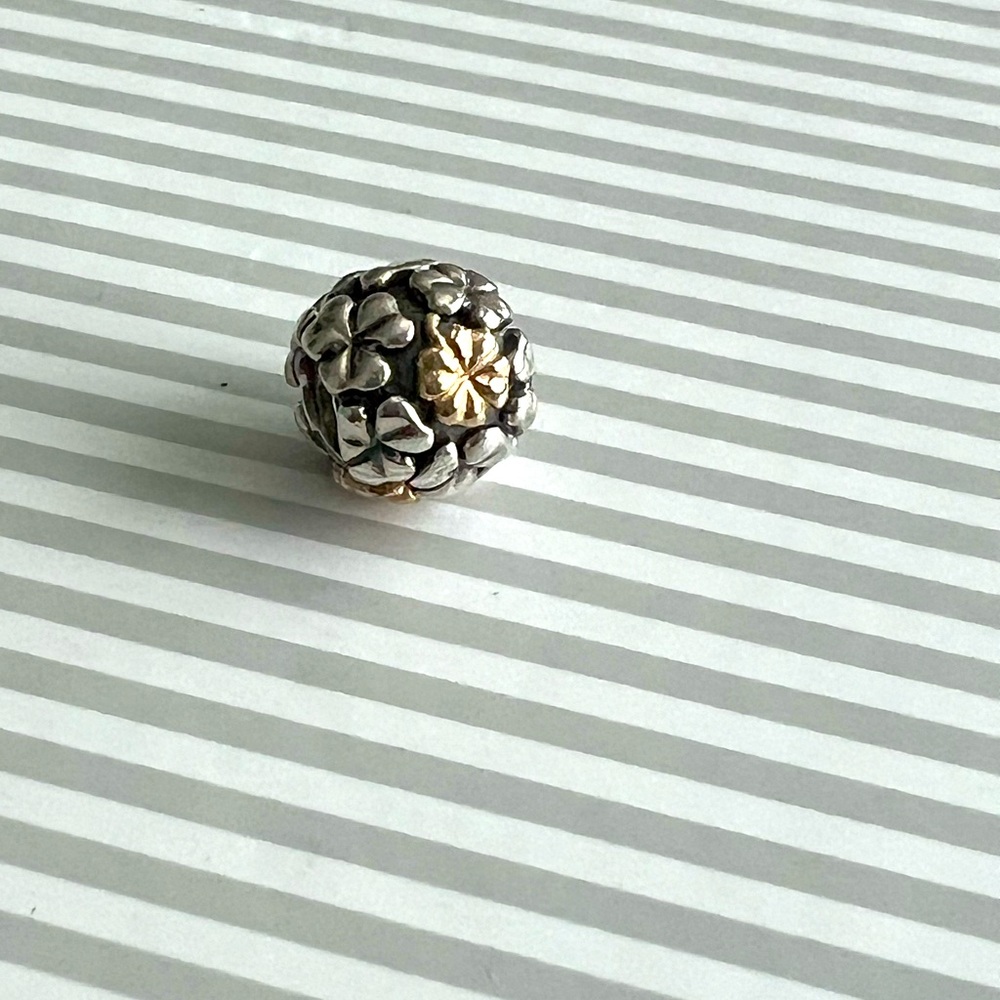 Pandora Charm
